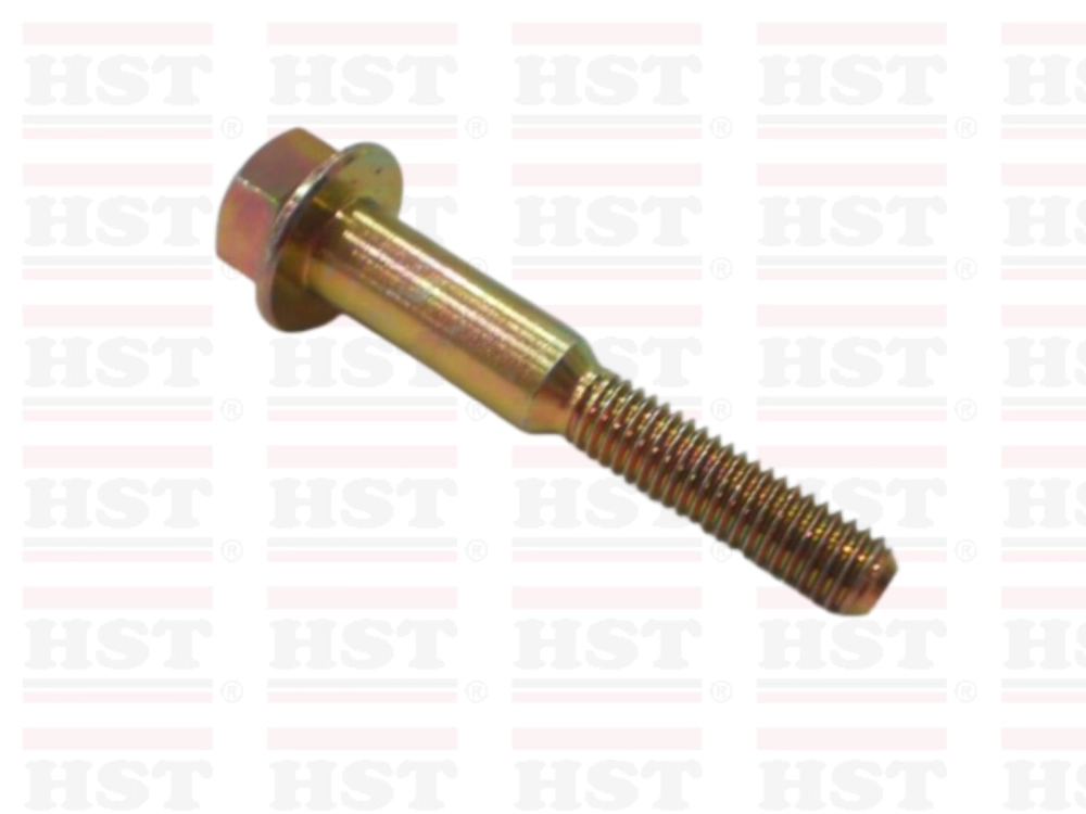 PROTON BLM TIMING BEARING BOLT MOD FLX HEAD 8x1.25 (TMB-BLM-1095)