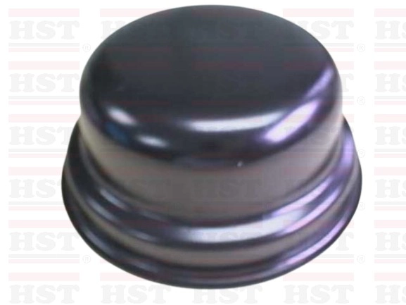 MT10000019 73 MM MITSUBISHI CANTER GUTS FB300 GREASE CAP (GC-FB300-80)