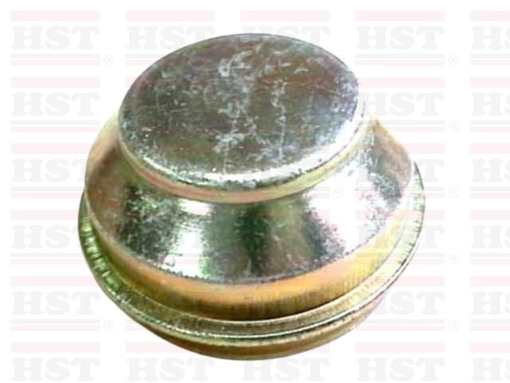 FORD TELSTAR TX3 TX5 GREASE CAP 46 MM (GC-TX5-80)
