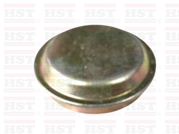 MB809360 PROTON ARENA WIRA GREASE CAP 49.8 MM (GC-WIRA-80)
