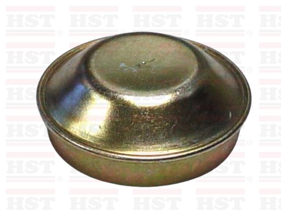 HYUNDAI ATOS GREASE CAP 48 MM (GC-ATOS-80)