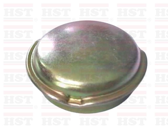 DAIHATSU AURA G100 GREASE CAP 44 MM (GC-G100-80)