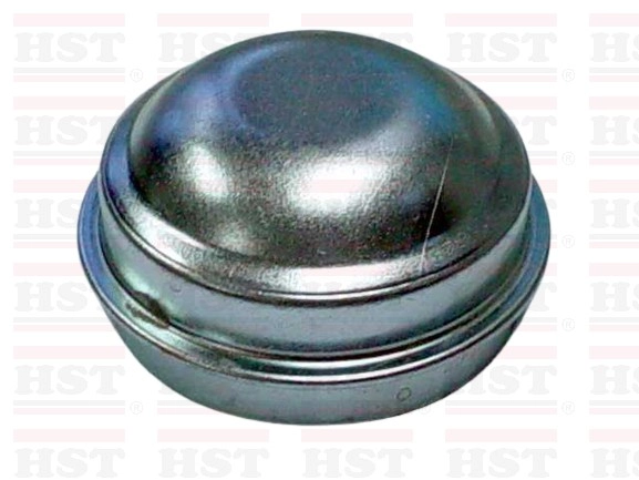TOYOTA DYNA BU20 GREASE CAP 62 MM (GC-BU20-80)