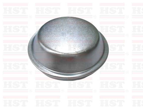 PW827090 PROTON EXORA GREASE CAP (GC-EXORA-80)