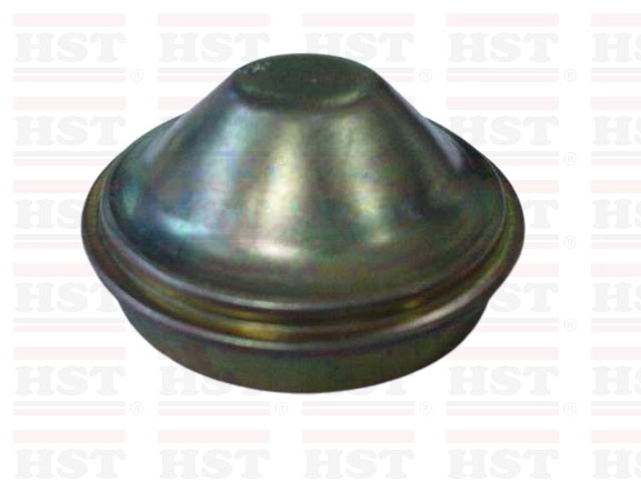 NISSAN AD RESORT YU41 GREASE CAP 52.2 MM (GC-Y10-80)