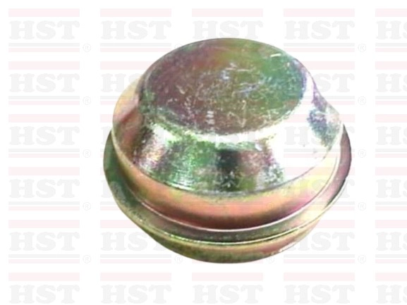 FORD LASER GREASE CAP 40.75 MM (GC-LASER-80)