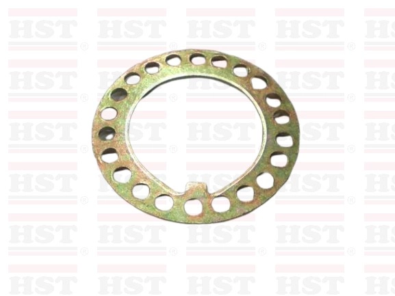FORD TRADER T3000 REAR AXLE LOCK WASHER (RAW-T3000-30)