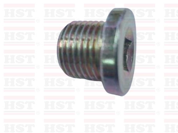 PROTON TIARA OIL SUMP NUT (OSN-TIARA-20)