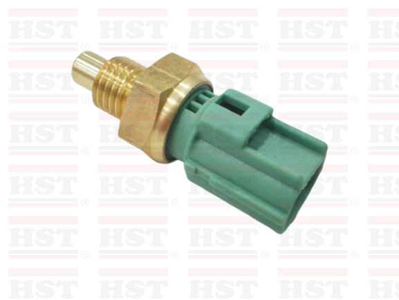TEMPERATURE SWITCH