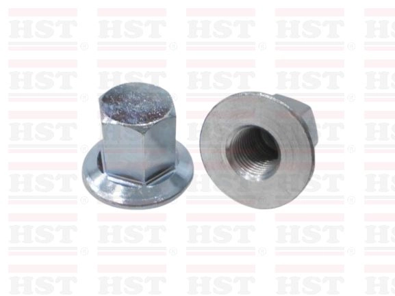 FUEL PUMP PULLEY NUT