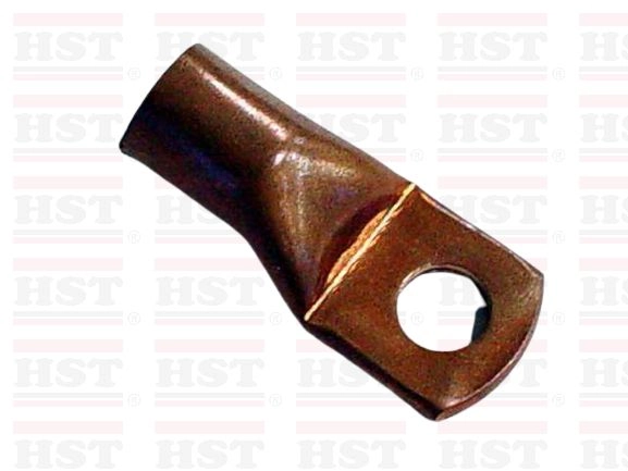 100 AMP BATTERY END 10 MM GOOD QUALITY (BE-1100A10-10)
