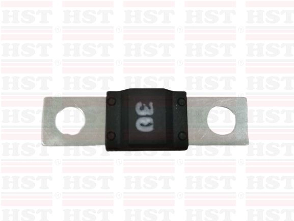 30AMP PROTON PREVE LITTLE FUSE (MF-LF30AMP)