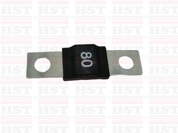 80AMP PROTON PREVE LITTLE FUSE (MF-LF80AMP)