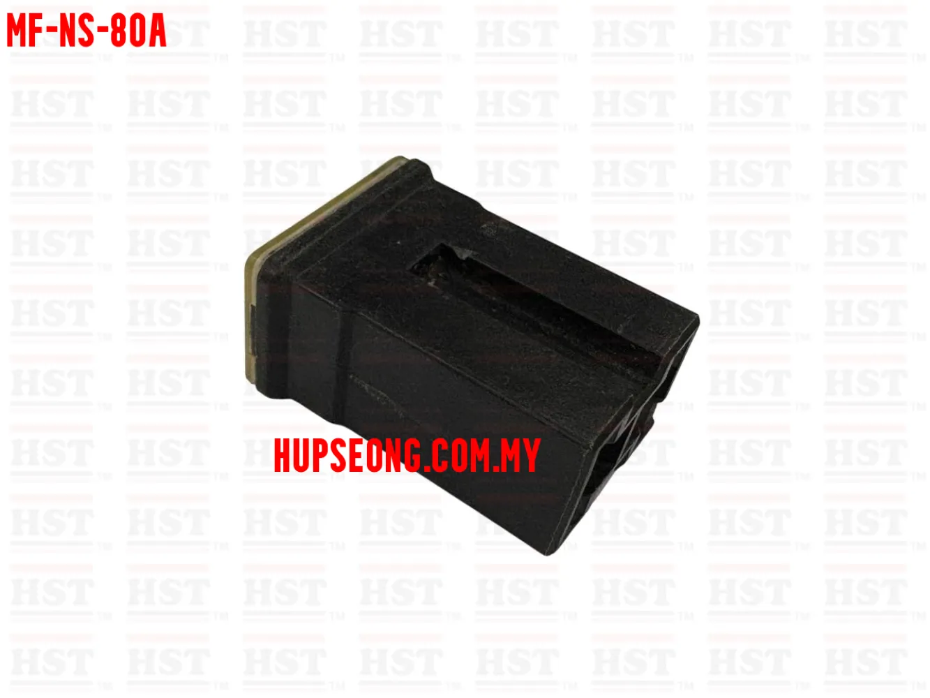 MAIN FUSE