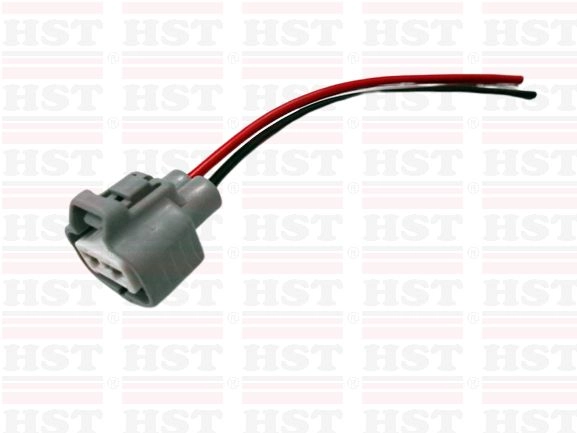 CHERY EASTER FAN MOTOR SOCKET 2 PIN (SK-FM-EASTER2P)